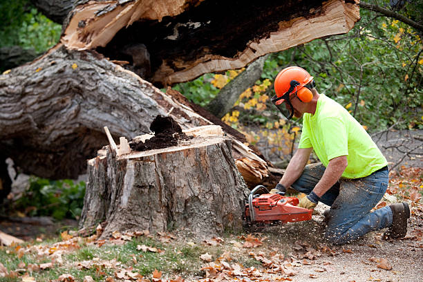 Best Emergency Tree Service  in Catoosa, OK